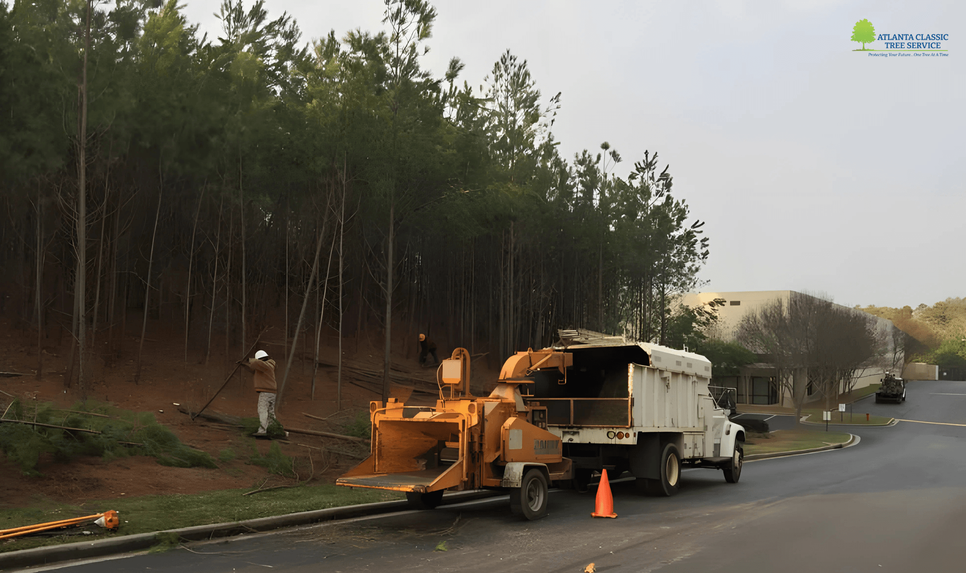 Managing Tree Debris After Landscaping Projects in Alpharetta, GA