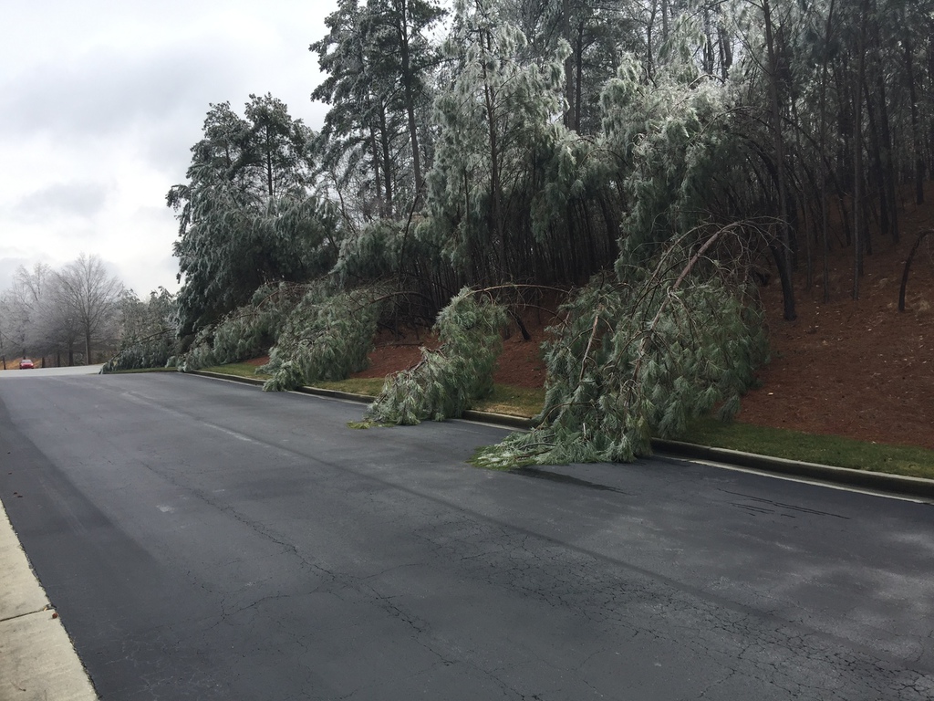 Fallen trees along a road after ice storm