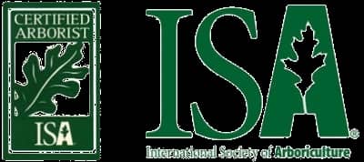 Certified Arborist badge by ISA featuring oak leaf logo