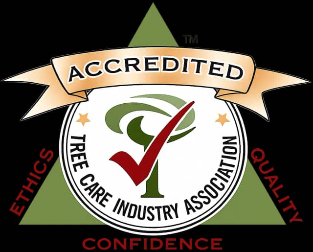 Accredited logo of the Tree Care Industry Association