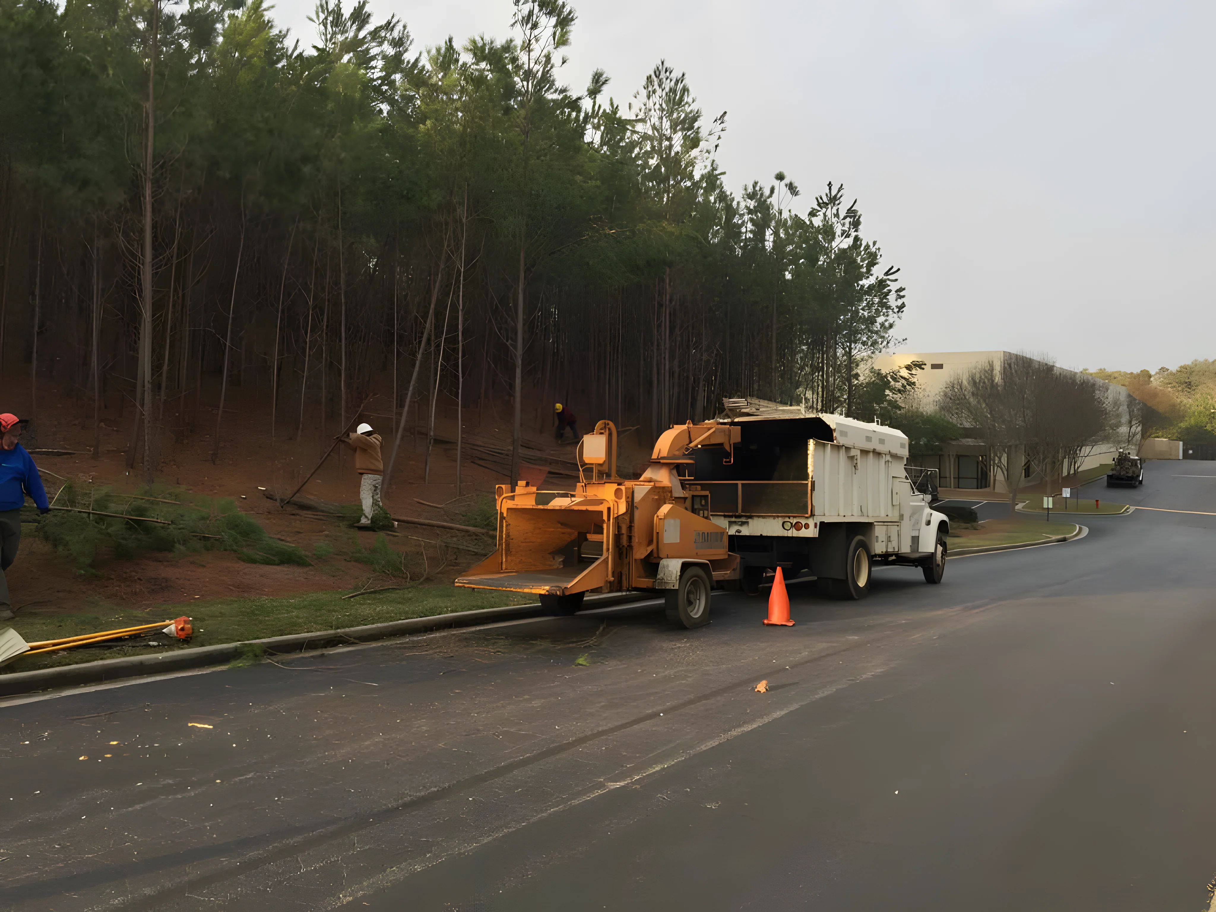 Tree maintenance crew using a chipper truck on roadside.
