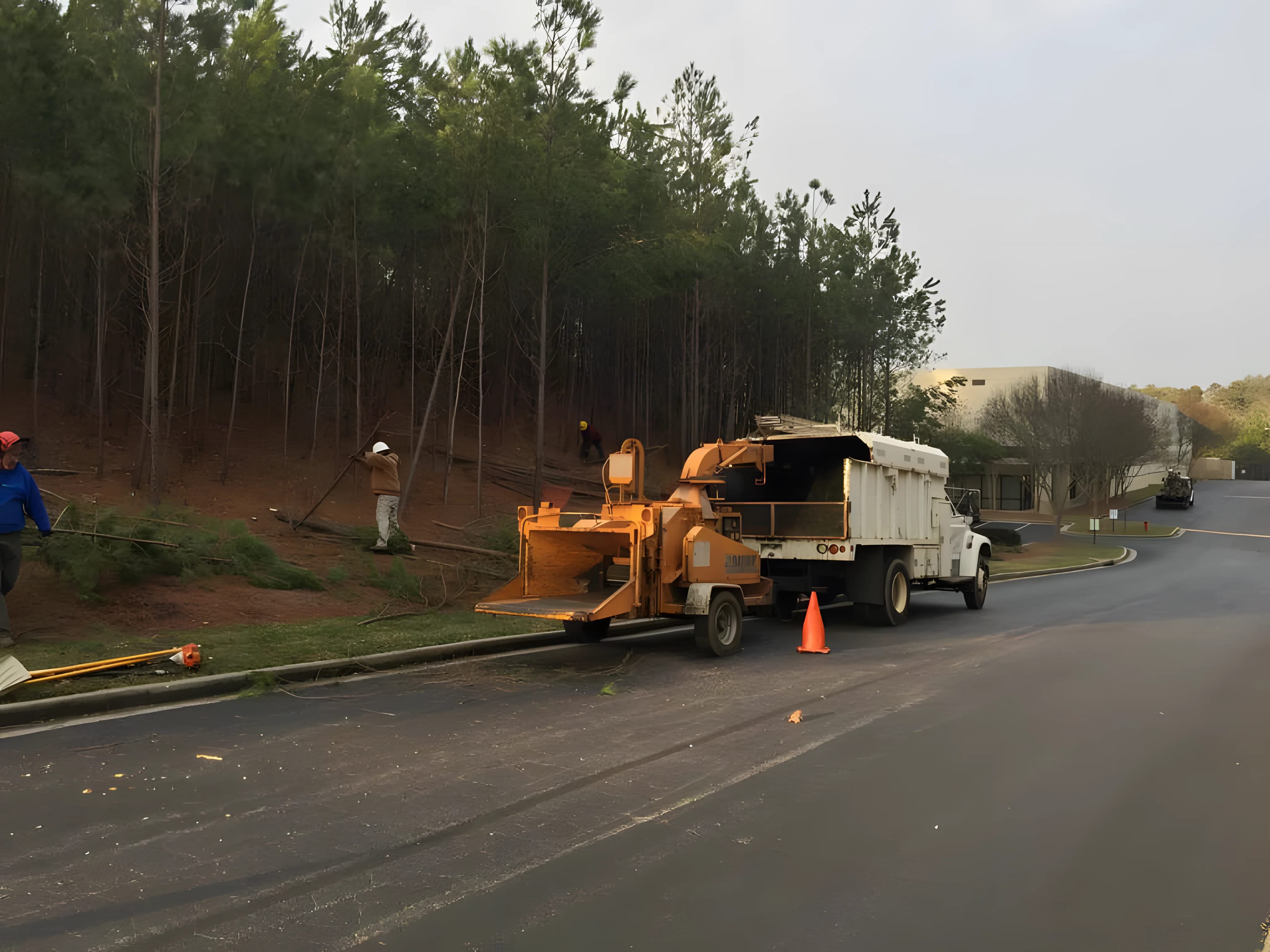 Tree maintenance crew using a chipper truck on roadside.