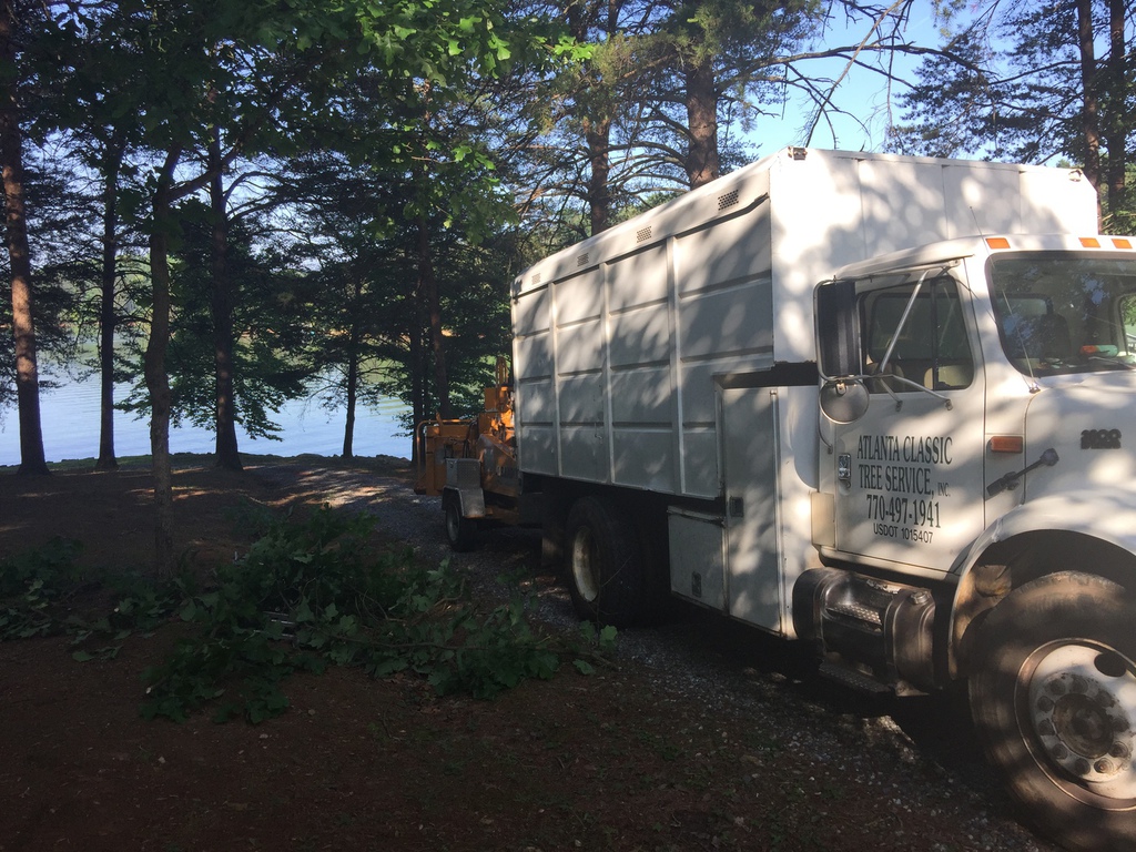 Tree removal service truck near a lake