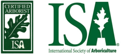 Certified Arborist badge by ISA featuring oak leaf logo