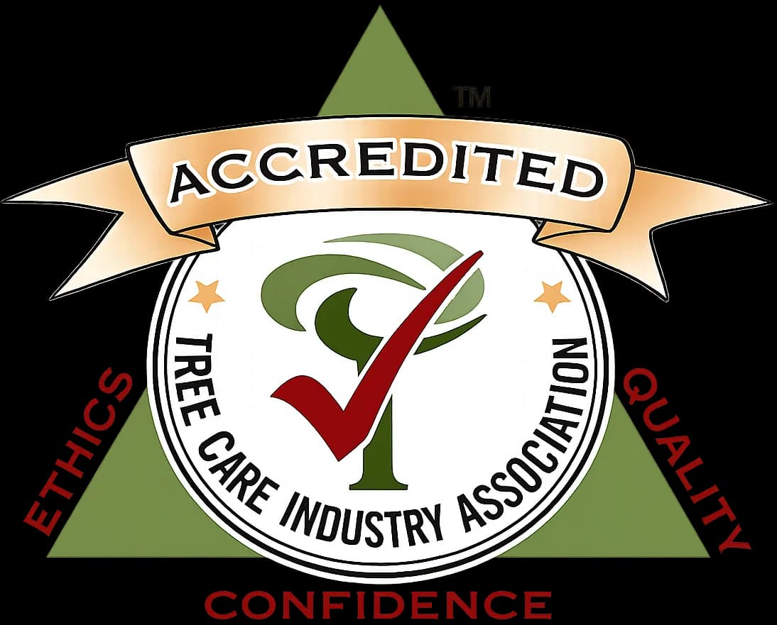 Accredited logo of the Tree Care Industry Association